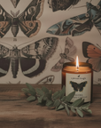TAGORE | MAHOGANY & TEAKWOOD | JAR CANDLE