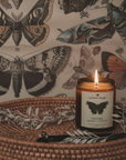 TAGORE | MAHOGANY & TEAKWOOD | JAR CANDLE