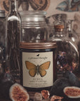 SURYA | AMBER & WILD FIGS | JAR CANDLE