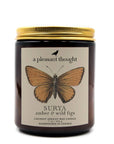 SURYA | AMBER & WILD FIGS | JAR CANDLE