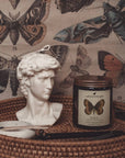 SURYA | AMBER & WILD FIGS | JAR CANDLE