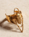 Stainless Gold Beetle Ring